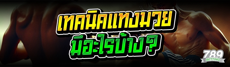 เทคนิคแทงมวย มีอะไรบ้าง?