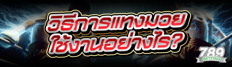 วิธีการแทงมวย ใช้งานอย่างไร?