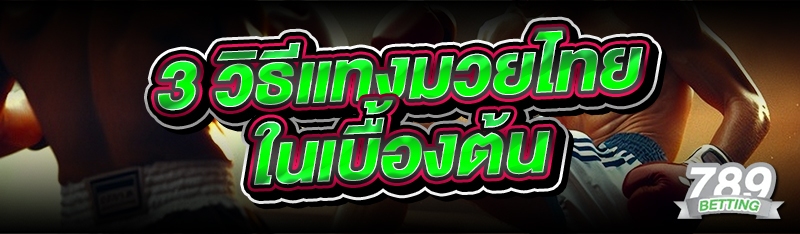 3 วิธีแทงมวยไทย ในเบื้องต้น