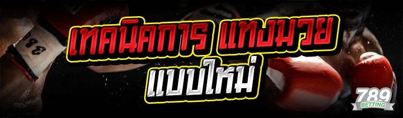 เทคนิคการ แทงมวย แบบใหม่